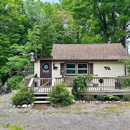 Escape To A Streamside Cabin In The Lower Catskills Wurtsboro Ngoại thất bức ảnh